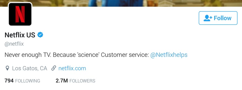 twitter bio for business-netflix.png